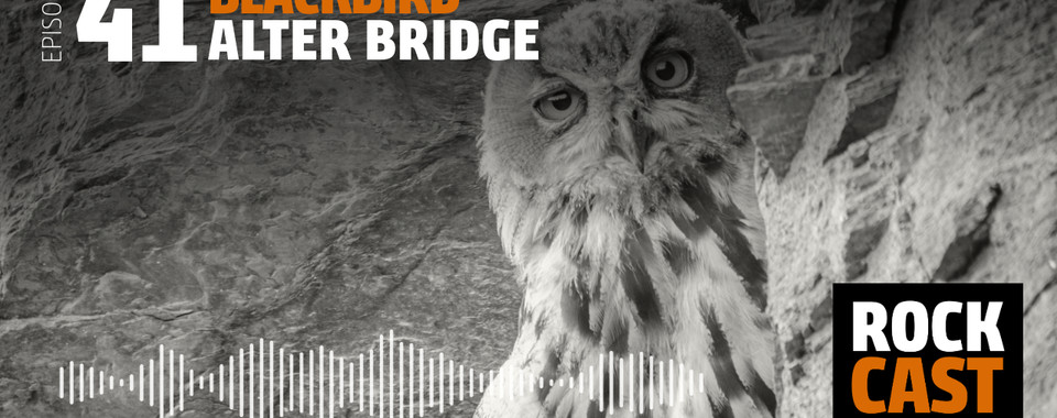 An owl peeking out from behind a rock face. Overlay text reads "Episode 41 Blackbird Alter Bridge."