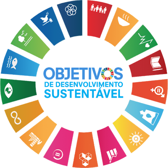 THE 17 UN-SUSTAINABLE DEVELOPMENT GOALS (SDGS)